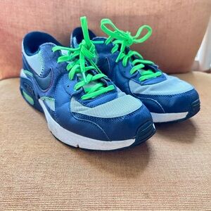 Nike Men's Grey and Blue Trainers